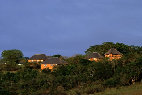 Hilltop (6)